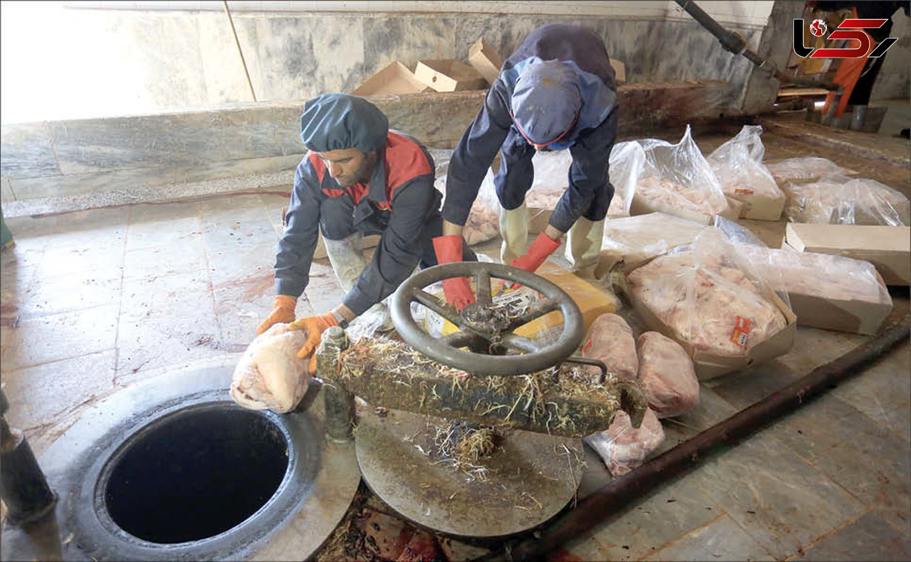 ماجرای 34 تن گوشت آلوده در مشهد / 7 تن در کوره آتش معدوم شد + عکس