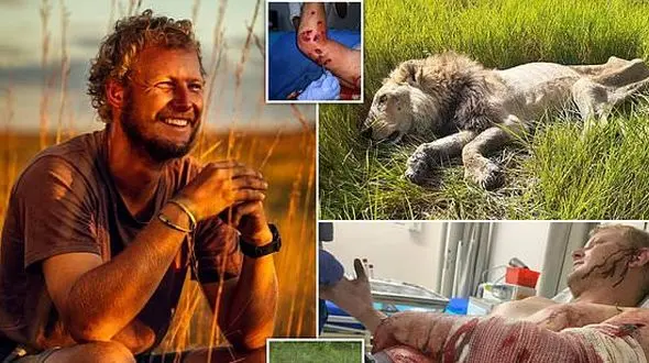 نجات معجزه آسا از دندان های شیروحشی در جنگل + عکس ها