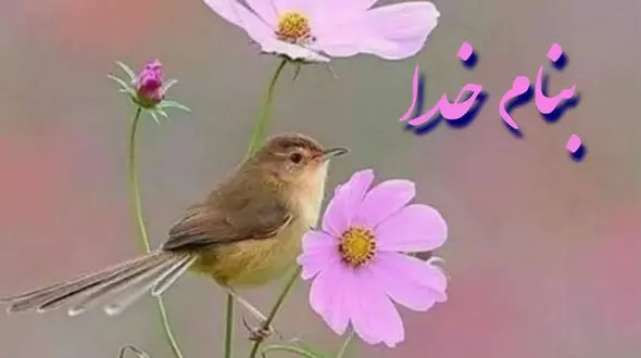 فال روزانه شخصی / 20 خرداد ماه + فیلم
