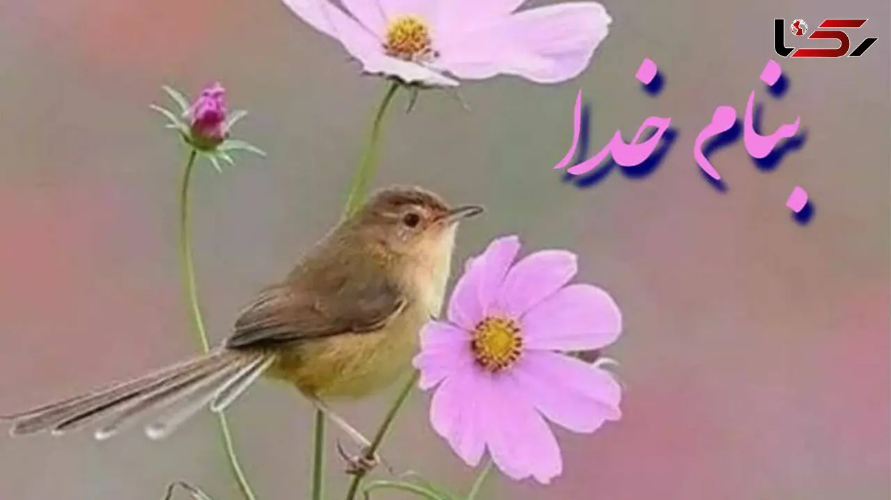 فال روزانه شخصی / 20 خرداد ماه + فیلم