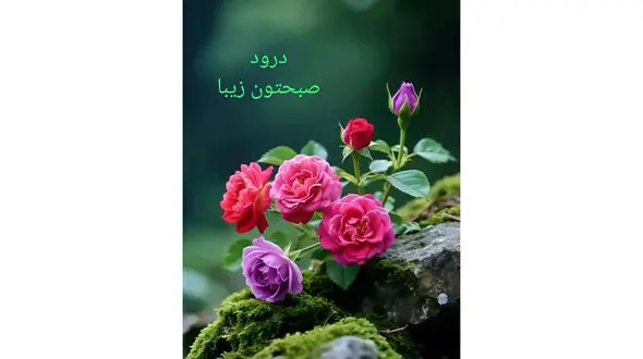 فال ابجد 24 آذر با تعبیر