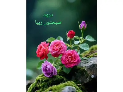 فال ابجد 24 آذر با تعبیر