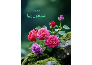 فال ابجد 24 آذر با تعبیر