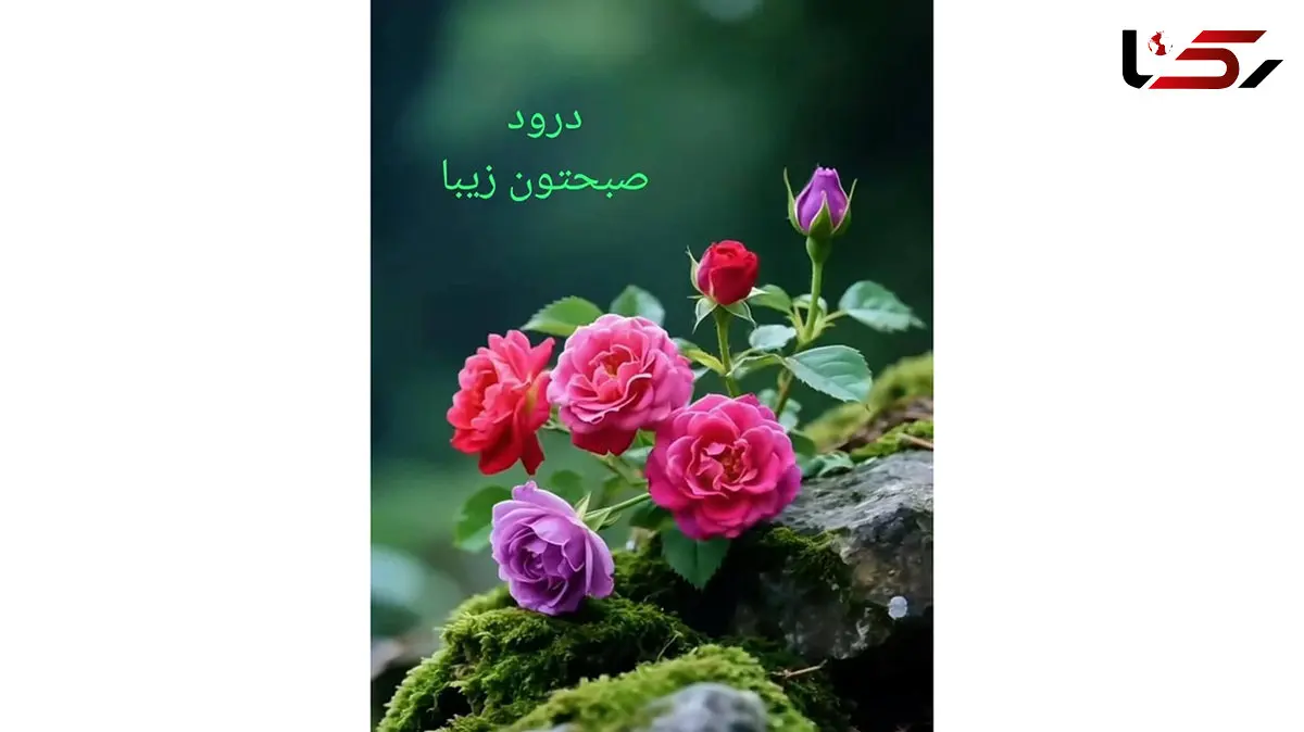 فال ابجد 24 آذر با تعبیر