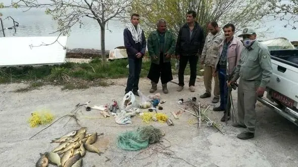 مبلغ صید غیر قانونی کپور ناچیز است