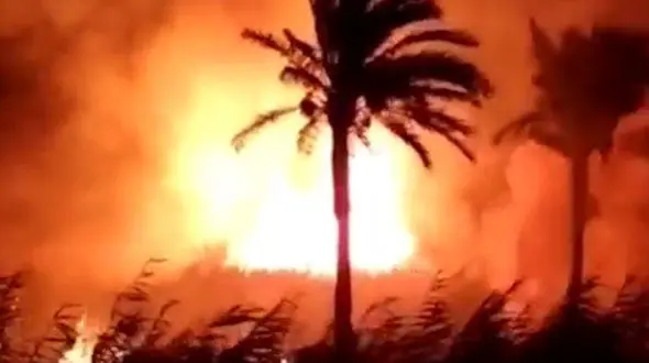 آتش‌سوزی در نخلستان‌های 3 روستای آبادان+ فیلم