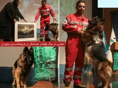 وقتی تهرانی ها برای یک سگ به احترام ایستادند/ تقدیر از" لئو " که چهار نفر را از زیر آوار نجات داد