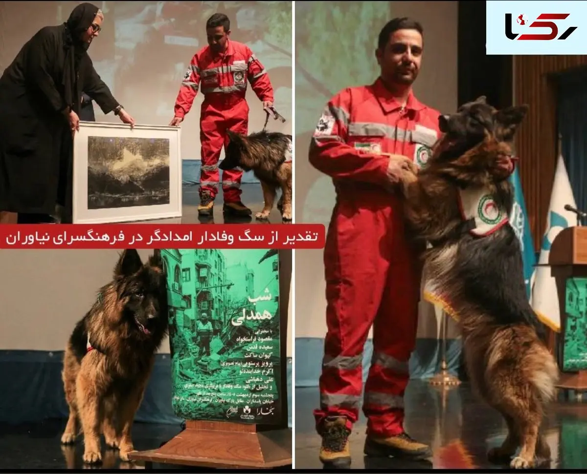 وقتی تهرانی ها برای یک سگ به احترام ایستادند/ تقدیر از" لئو " که چهار نفر را از زیر آوار نجات داد