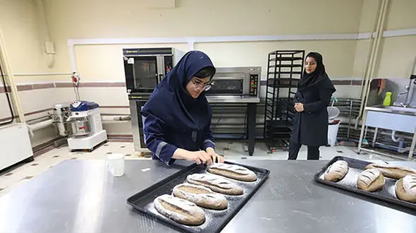 برنامه های درسی رشته های شاخه فنی و حرفه ای و کاردانش اعلام شد