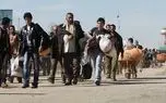 افغانستانی ها 3.5 میلیون فرصت شغلی را از ایرانی ها گرفته اند /بهره مند شدن افغان ها از یارانه ایرانی ها
