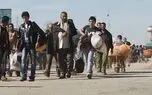 افغانستانی ها 3.5 میلیون فرصت شغلی را از ایرانی ها گرفته اند /بهره مند شدن افغان ها از یارانه ایرانی ها
