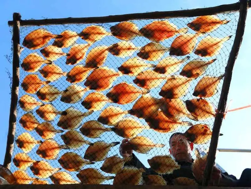 خشک کردن ماهی در چین