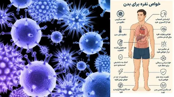 خواص و مضرات نقره برای زنان و مردان از دیدگاه اسلام