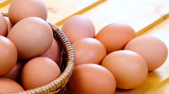 قیمت تخم مرغ افزایش یافت ؟