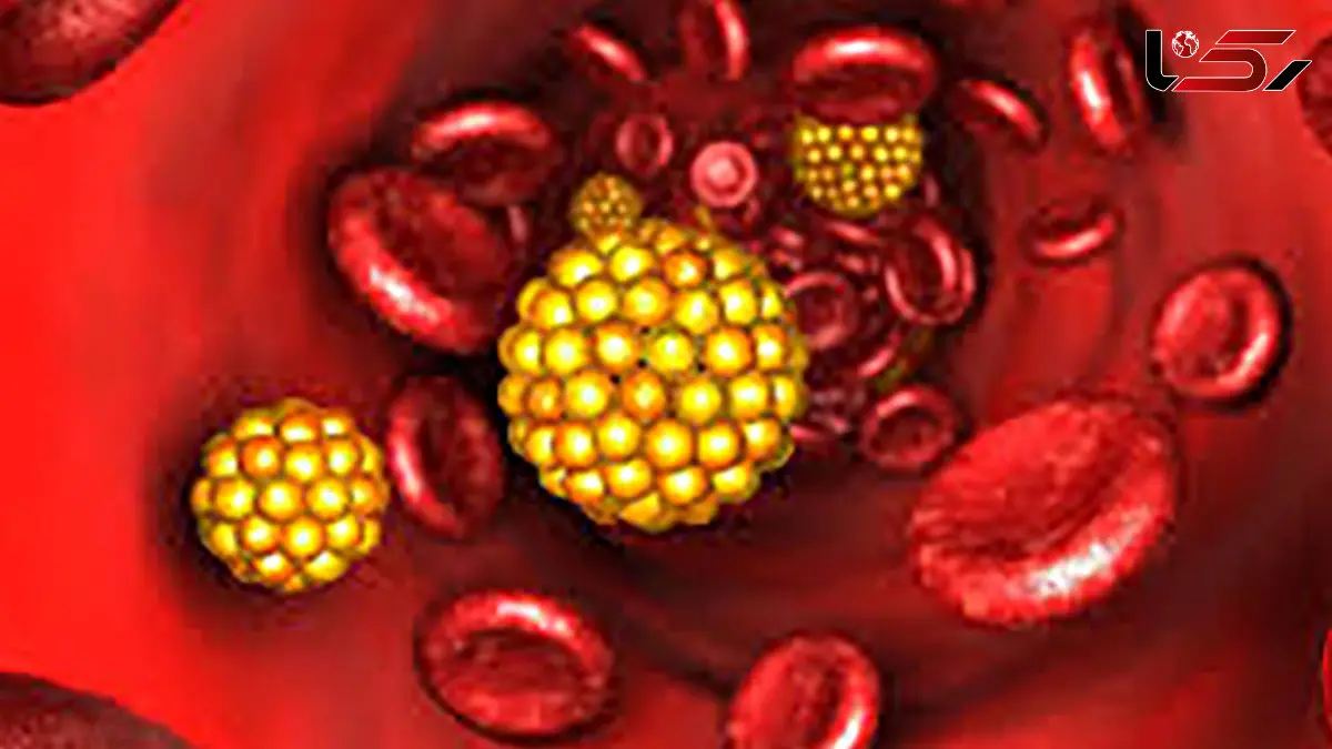 راز کاهش کلسترول در آشپزخانه شما؛ قهرمانان را بشناسید