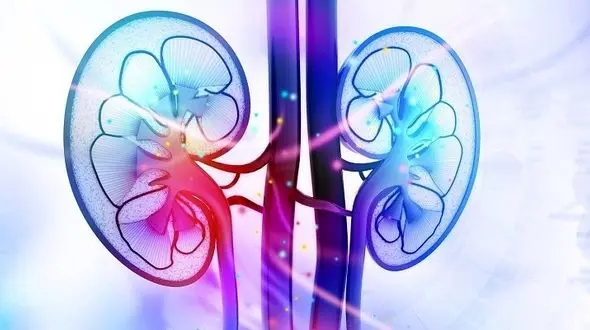 توصیه‌های لازم برای حفظ سلامت کلیه ها 