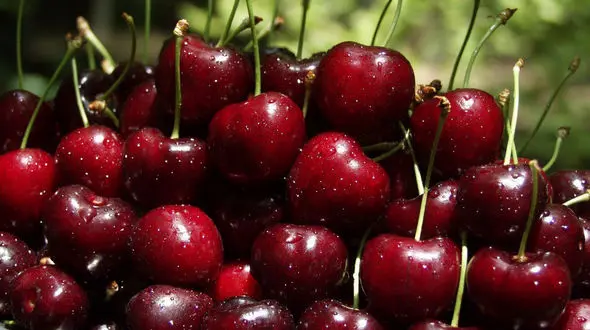 میوه های نوبرانه رکورد زدند