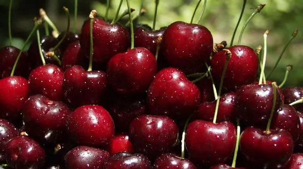 مواد غذایی ضد درد را بشناسید
