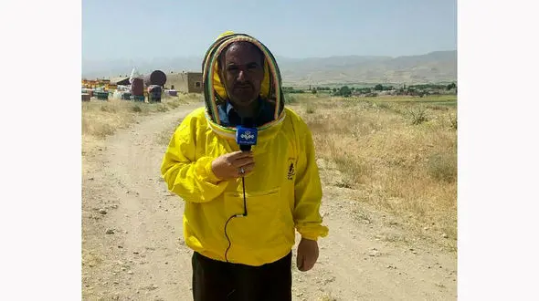 حمله خوفناک 4 سگ ولگرد به خبرنگار صداوسیما در نهاوند + فیلم و عکس