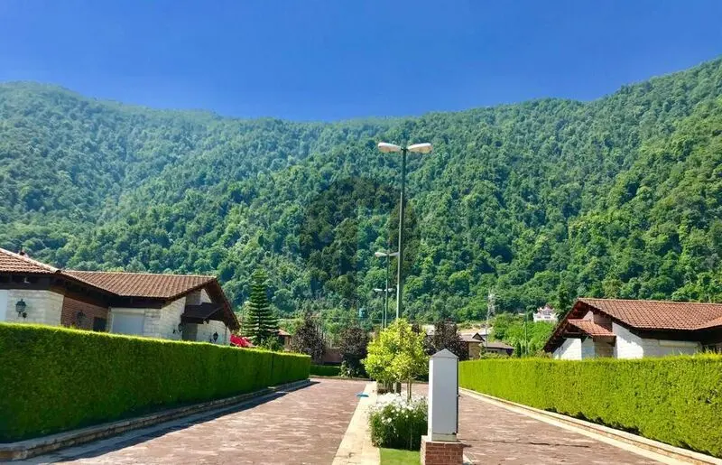 علی دایی