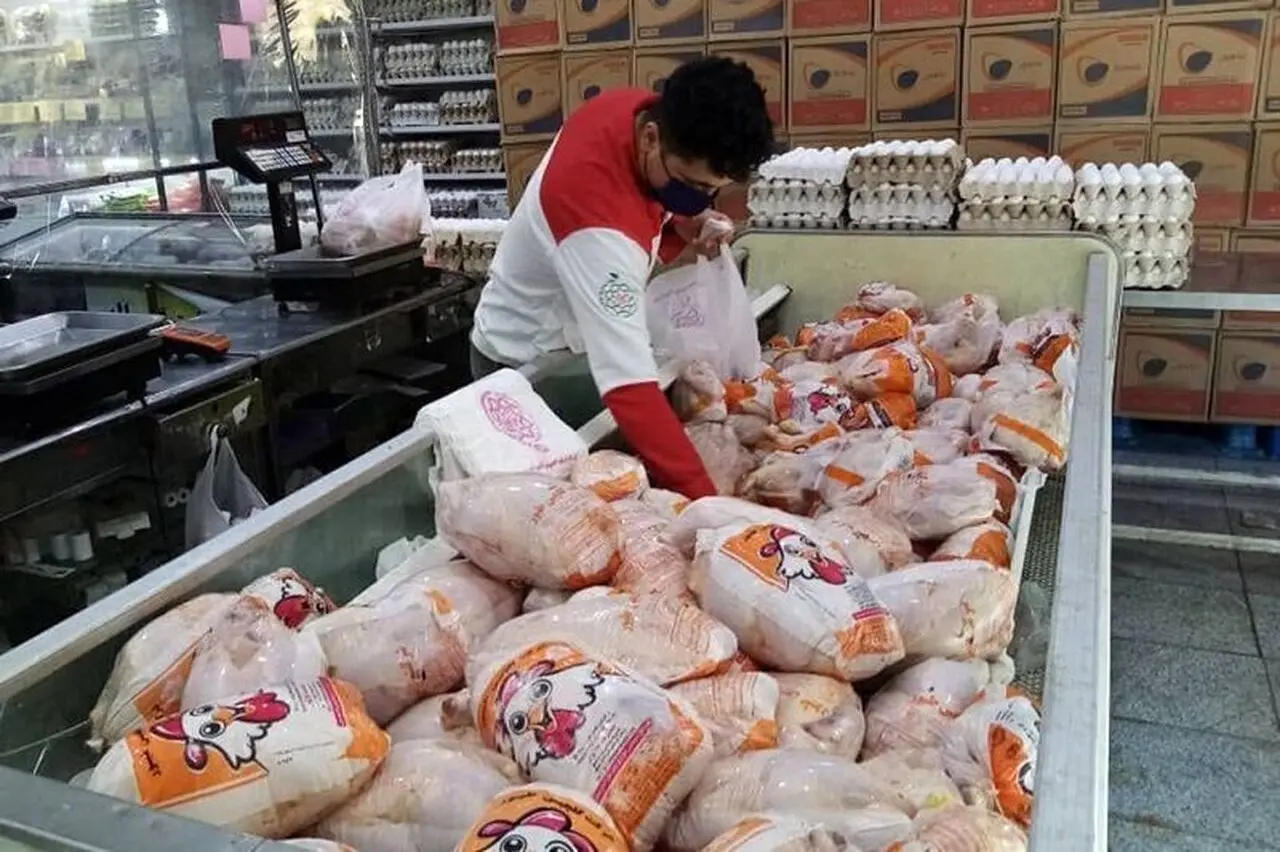 قیمت جدید مرغ در بازار امروز چقدر است؟