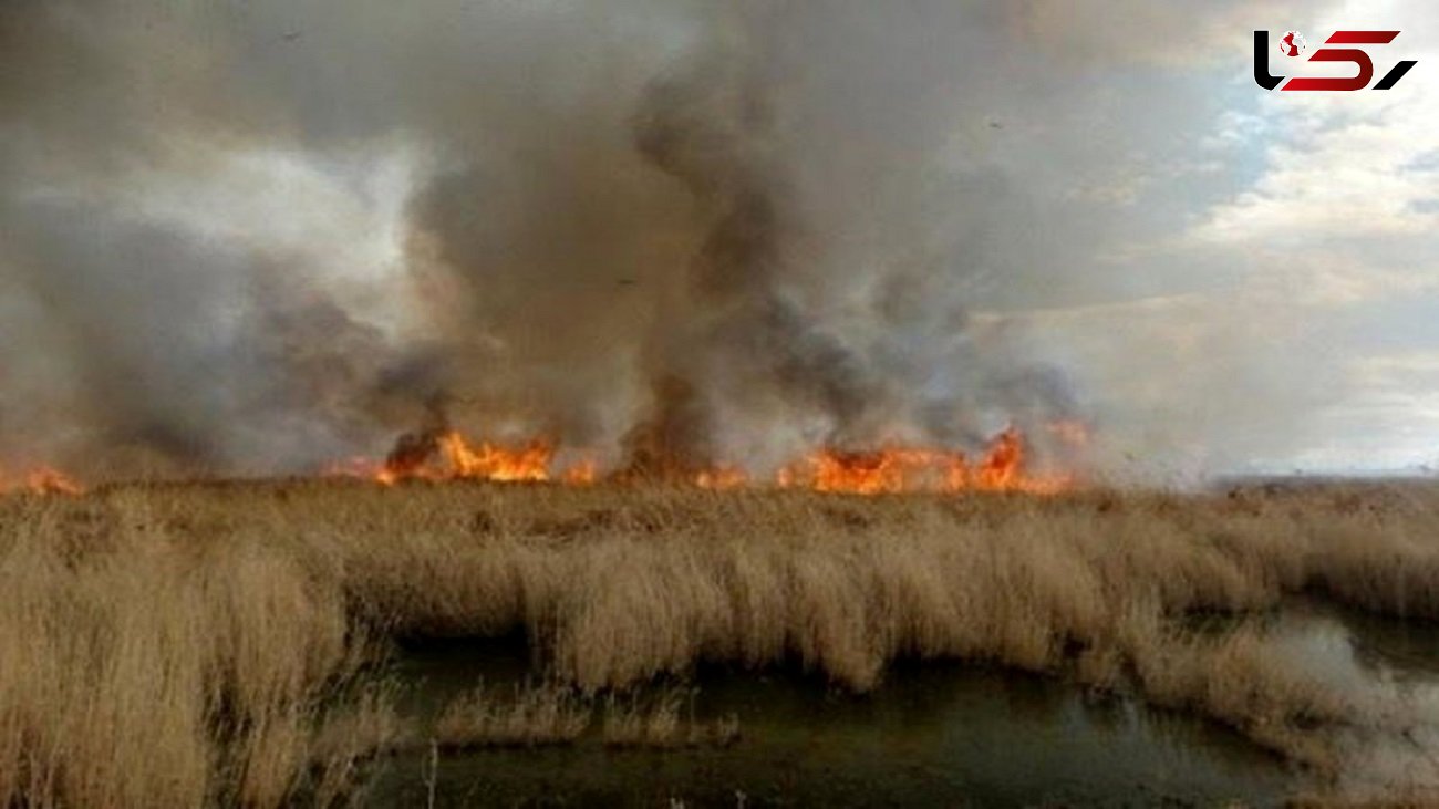 آمادگی ایران برای کمک به مهار آتش سوزی در نیزارهای عراق / مناطق مسکونی دشت آزادگان تحت تاثیر است 
