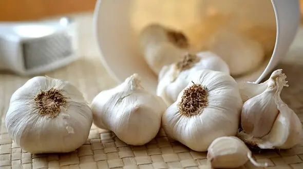 سِیر سم زدایی بدن با سیر