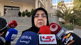 سخنگوی دولت: نخستین نیروگاه زمین‌گرمایی به شبکه متصل می‌شود