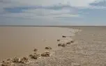 مذاکرات ایران و طالبان برای بازگشایی هیرمند، به زودی