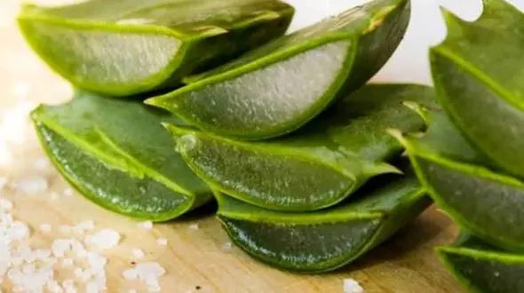 شایع‌ترین علائم هموروئید + درمان