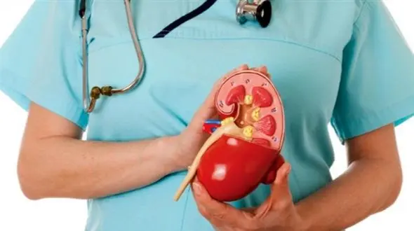 خوراکی‌ هایی که مثانه شما را پاکسازی می‌ کند