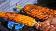 روز بلال چه روزی است؟ / اهمیت بلال (ذرت) در چیست؟