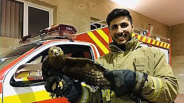 وحشت خانواده تهرانی از عقاب در بلوار ارتش + عکس