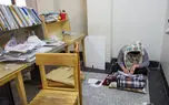 کنکور و امتحانات نهایی روی هوا؛ هشدار درباره اختلال جدی در تقویم آموزشی دانشگاه ها / وزارتخانه های علوم و آموزش و پرورش بدبینانه ترین سناریوها را بررسی کرده اند؟