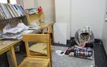 کنکور و امتحانات نهایی روی هوا؛ هشدار درباره اختلال جدی در تقویم آموزشی دانشگاه ها / وزارتخانه های علوم و آموزش و پرورش بدبینانه ترین سناریوها را بررسی کرده اند؟