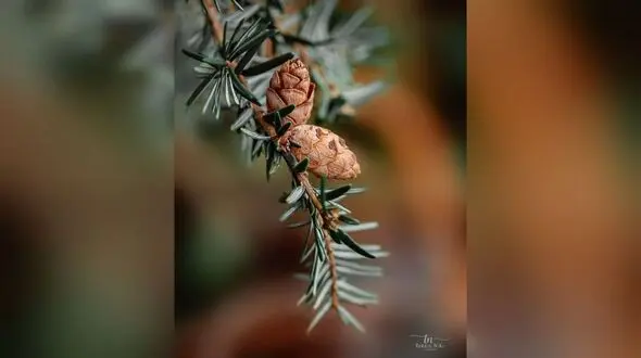 فال ابجد 16 شهریور