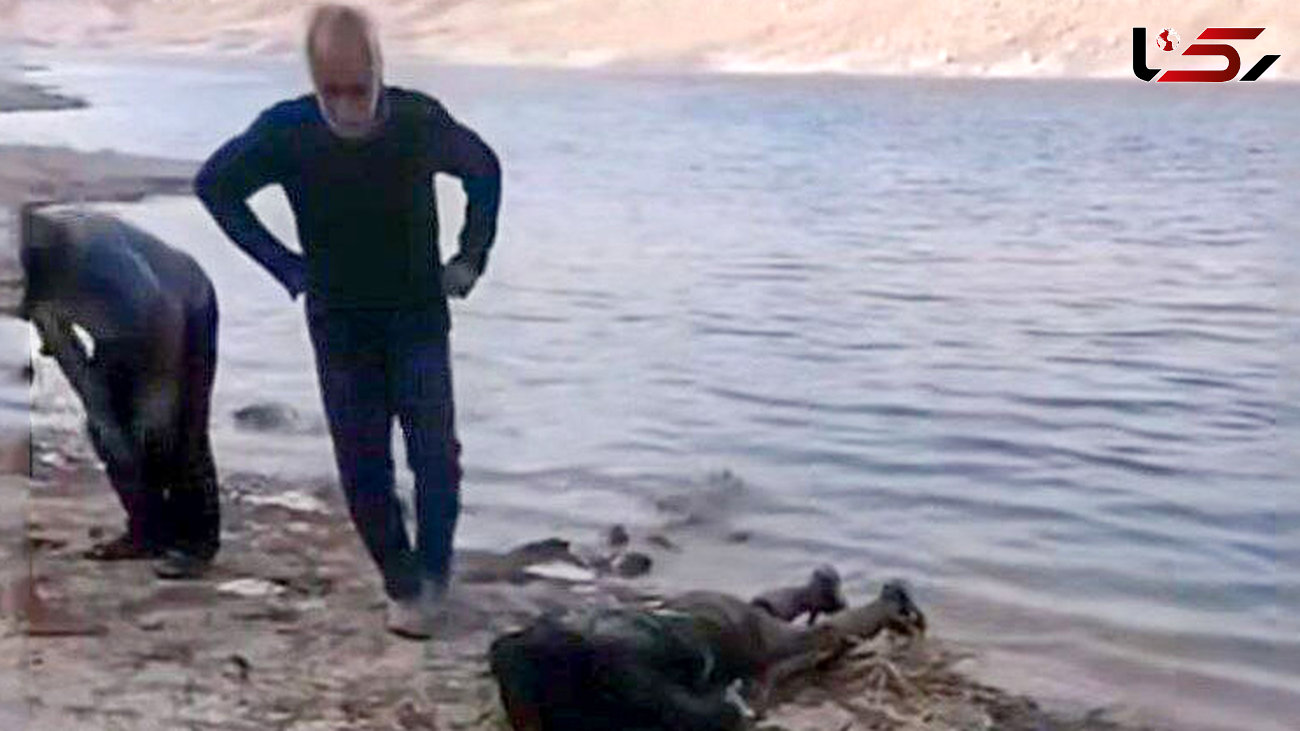 جسد غرق شده در سد الغدیر ساوه پیدا شد