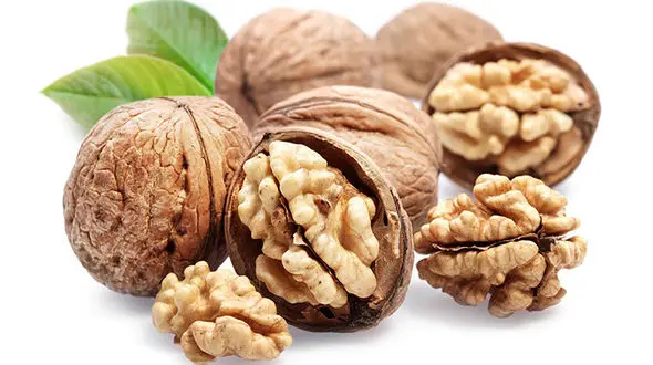 با این خوراکی ها به جنگ سرطان پستان بروید