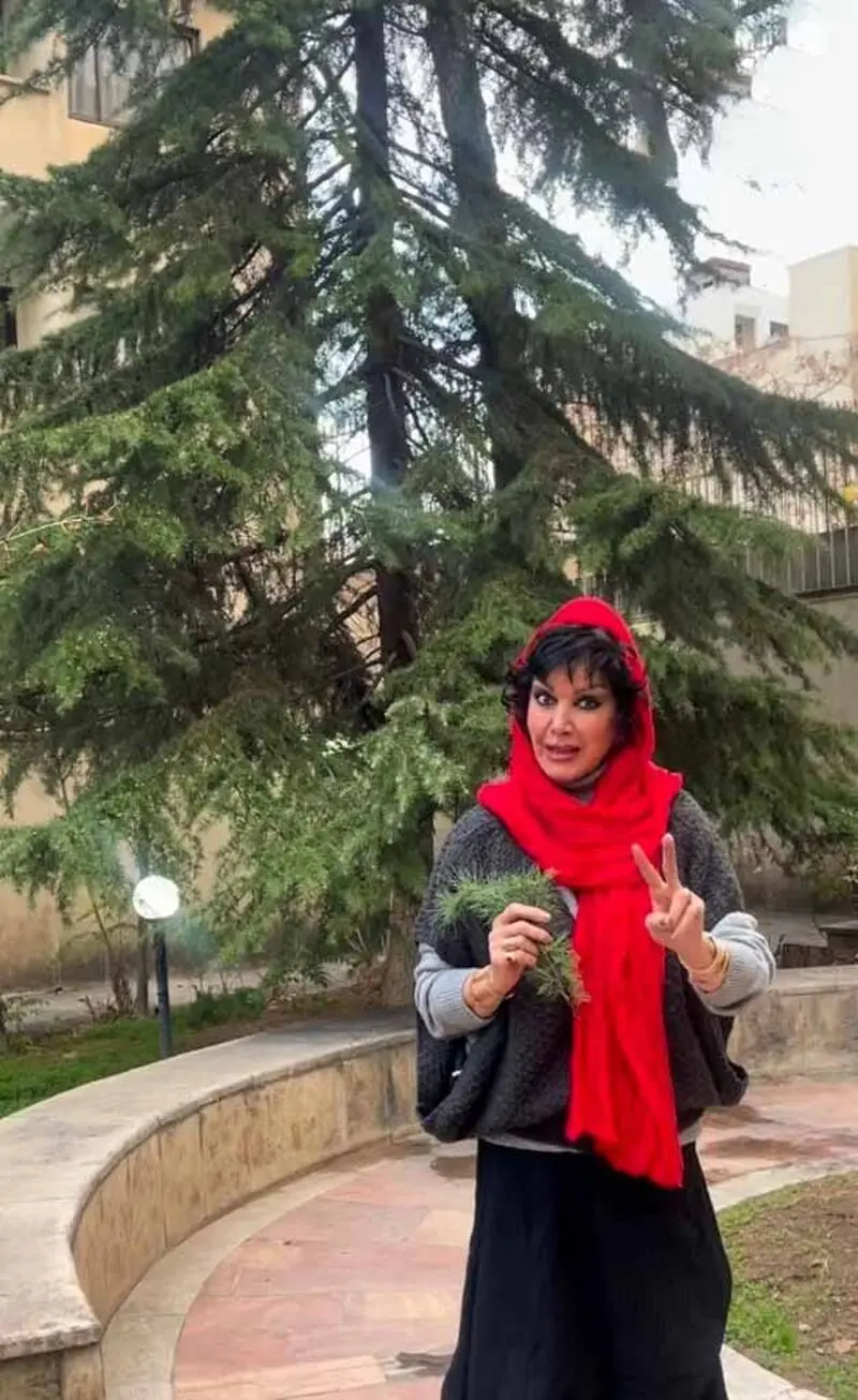 فرزانه کابلی