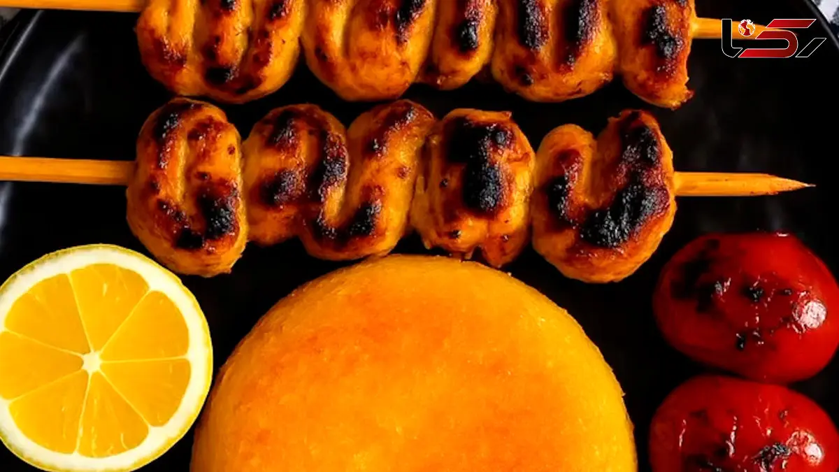 جوجه حلزونی خونگی پادشاه کبابای مهمون‌ پسند! / فیلم