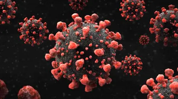 عبور استان البرز از پیک اول بیماری کرونا