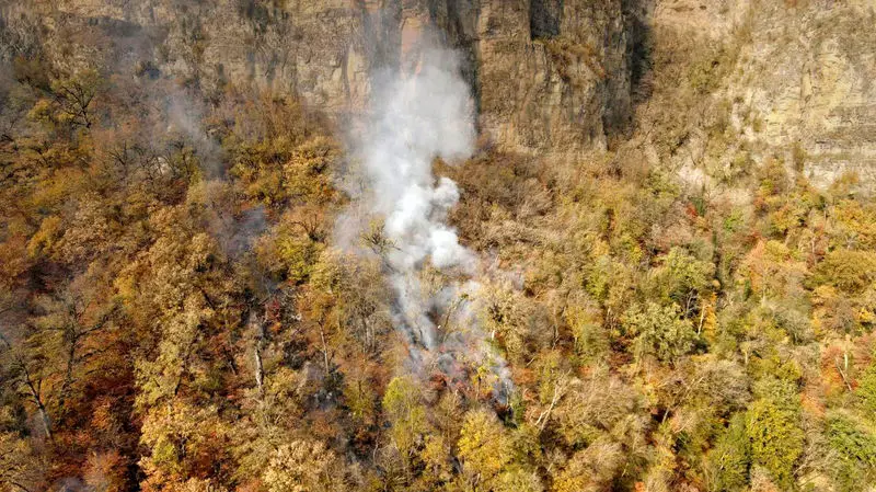 آتش سوزی جنگل های گلستان (4)