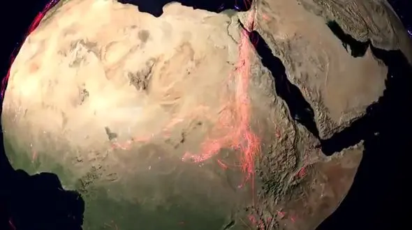 ویدیو دیدنی از الگوی مهاجرت دنیای حیوانات + فیلم