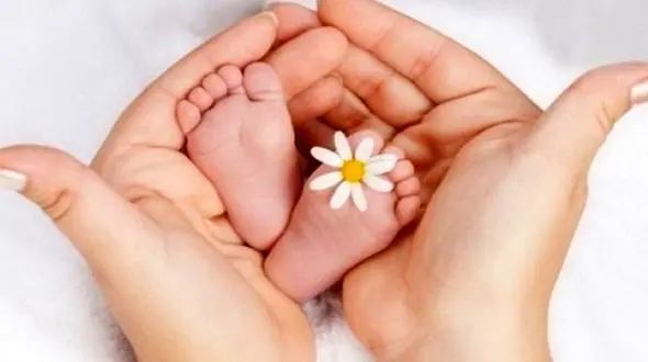 درمان رایگان هزار زوج نابارور در مرکز طهورای قم