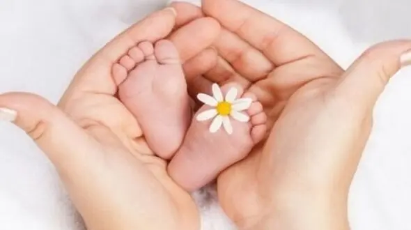 درمان رایگان هزار زوج نابارور در مرکز طهورای قم