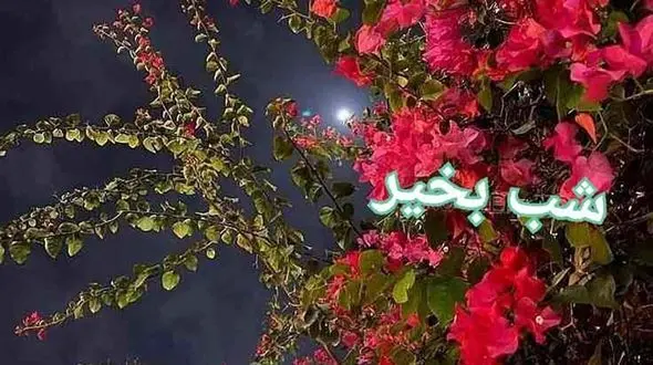 طالع شما چه چیز را نشان می دهد؟