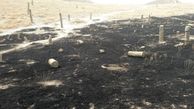 آتش سوزی در گورستان باستانی کلاله / چه کسانی به گورها حمله کردند؟ + عکس 