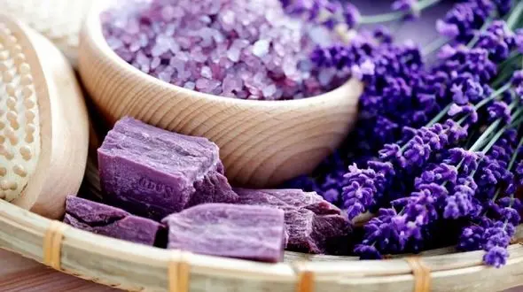 درمان ریزش مو با گیاهی معجزه آسا