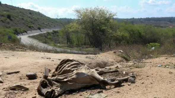 تاثیرات خشکسالی بر زندگی ساکنان روستا و شهر / ناامنی غذایی، فقر و نابرابری اجتماعی در راه است
