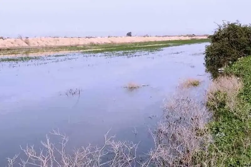 سیل بندها درخوزستان به لرزه افتادند